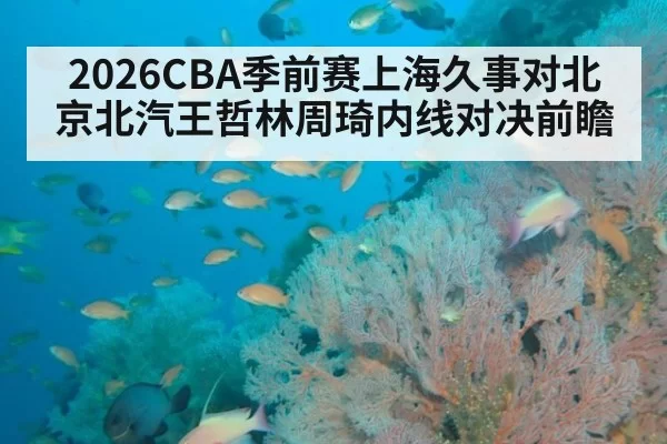 2026CBA季前赛上海久事对北京北汽王哲林周琦内线对决前瞻